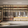 Modern Walk in Closet Interior Design With Glass Door Wardrobes Hanging Clothes And Drawers