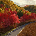 Scenic Autumn Landscape With Red And Yellow Foliage Winding Path Through Hills And Warm Sunlight