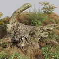 Natural Wood Tree Stump With Stone Features And Green Vegetation Around