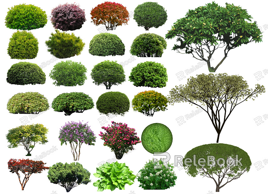 modern shrub shrub ball landscape tree modeling tree ornamental tree courtyard tree flower shrub plant group model