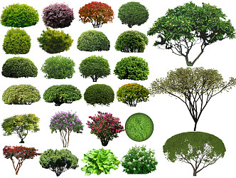 modern shrub ball landscape tree modeling tree ornamental tree courtyard tree flower shrub plant group 3d model