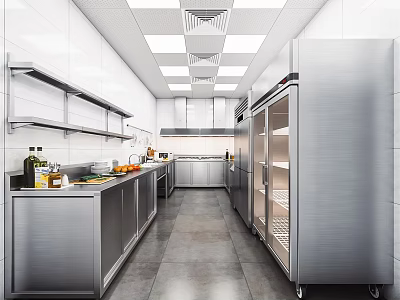Commercial Kitchen Design With Stainless Steel Workstations Shelves And Lighting 3d model