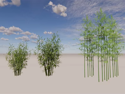 Tall And Short Bamboo Plants With Green Leaves In Blue Sky Landscape 3d model