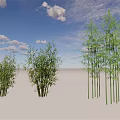 Tall And Short Bamboo Plants With Green Leaves In Blue Sky Landscape