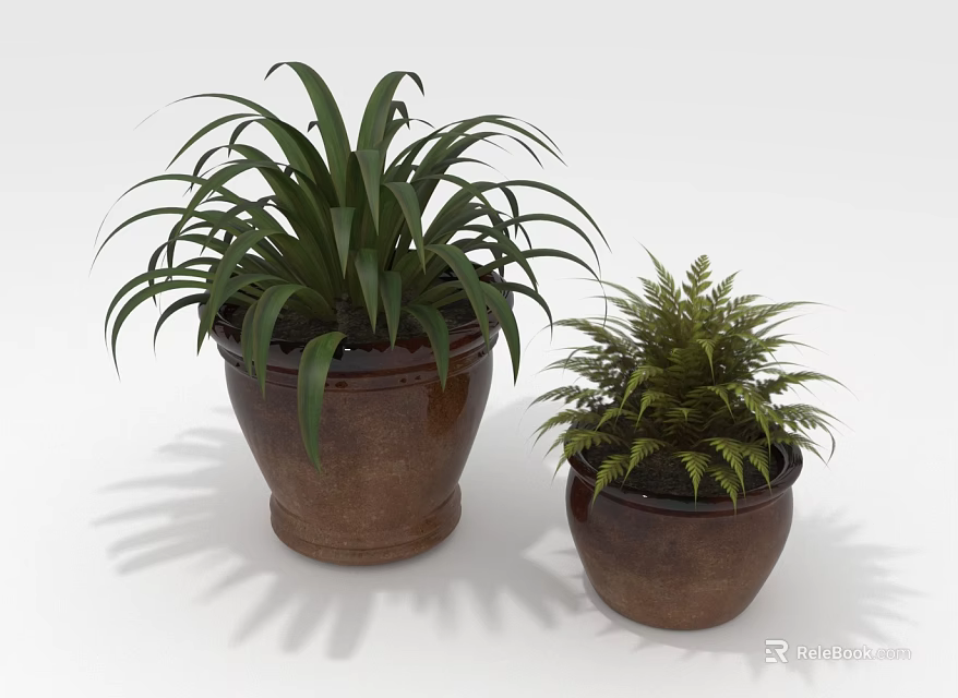Two Decorative Indoor Potted Plants with Large and Small Leaves in Brown Clay Pots 3d model 