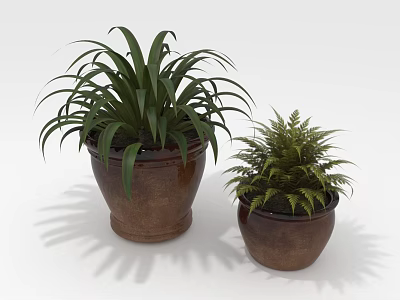 Two Decorative Indoor Potted Plants with Large and Small Leaves in Brown Clay Pots 3d model