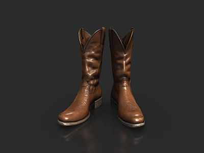 Brown Leather Cowboy Boots High Top Design With White Sole Trim 3d model