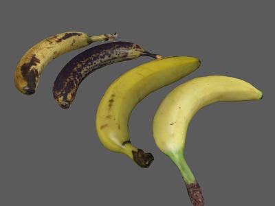 Banana Fruit Rotten Banana model