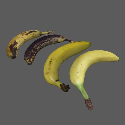 Fresh Bananas Showing Different Ripeness Stages With Yellow And Brown Spots 3d model