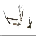 Natural Dry Plant Branches In Various Shapes With Brown And White Textures On White Background