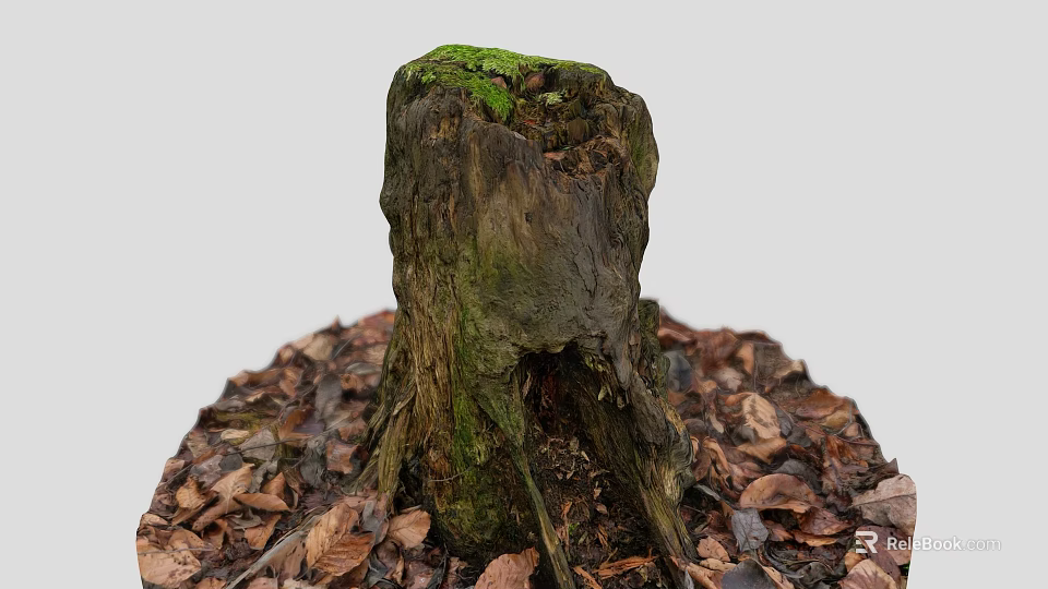 Old Tree Stump Covered With Green Moss Surrounded By Fallen Leaves 3d model 