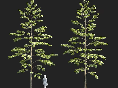 Two Tall Green Trees With Leafy Branches And Human Silhouette 3d model