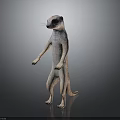 Meerkat Standing Upright With Light Brown Fur And Dark Facial Markings Against Simple Dark Background 3d model