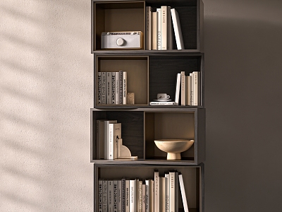 Modern bookcase combination model