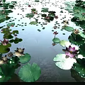 Garden Landscape Pond With Lily Pads Lotus Flowers And Swimming Fish