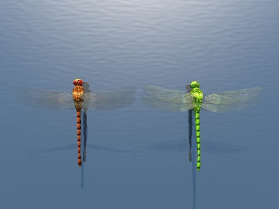 modern dragonfly 3d model