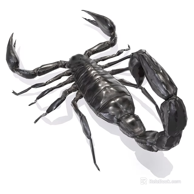 Realistic Black Scorpion Reptile With Shiny Exoskeleton Claws And Tail 3d model 