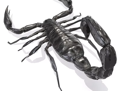 Realistic Black Scorpion Reptile With Shiny Exoskeleton Claws And Tail 3d model
