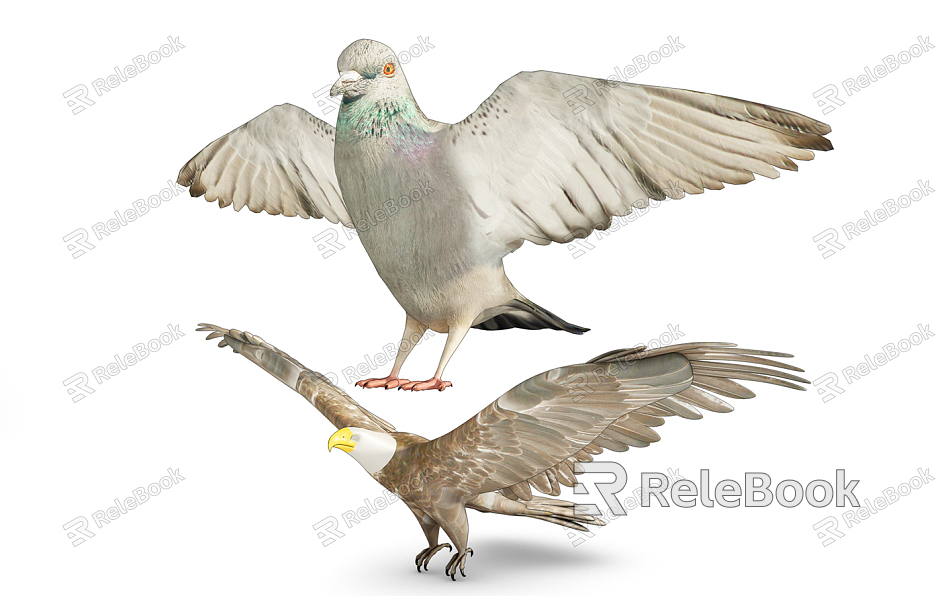 Modern pigeon animal pigeon hawk model