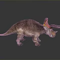 Triceratops Dinosaur Model With Red Yellow Frill And Detailed Textured Skin On Gray Background