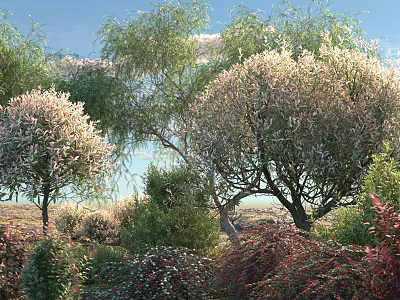 Sunlit Arbor Trees With Flowing Branches And Pink Blossoms In Natural Landscape 3d model