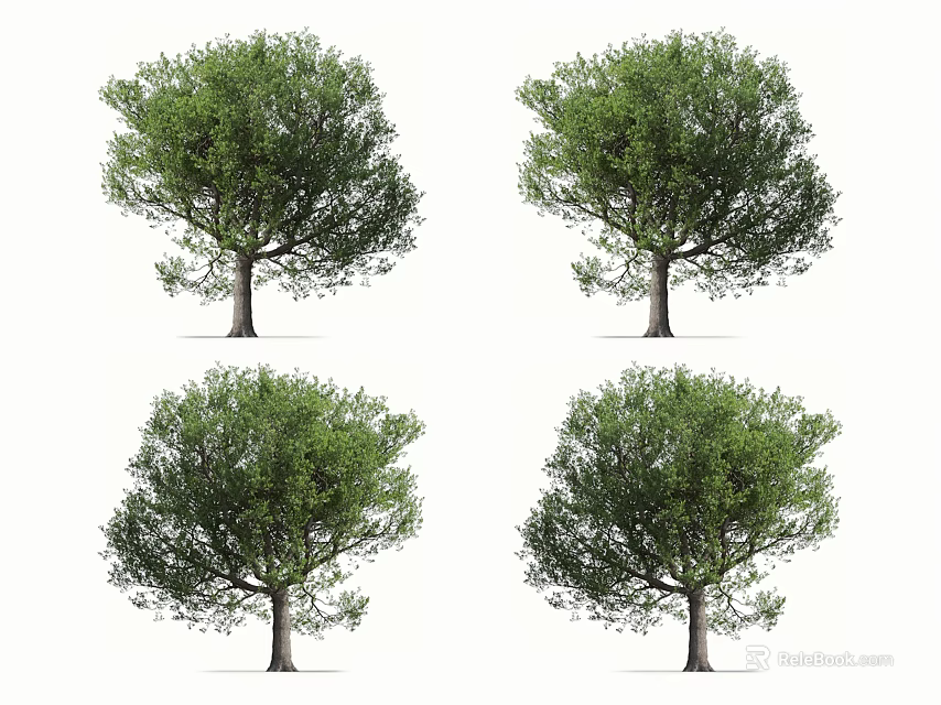 Four Green Arbor Trees With Lush Foliage And Strong Trunks 3d model 