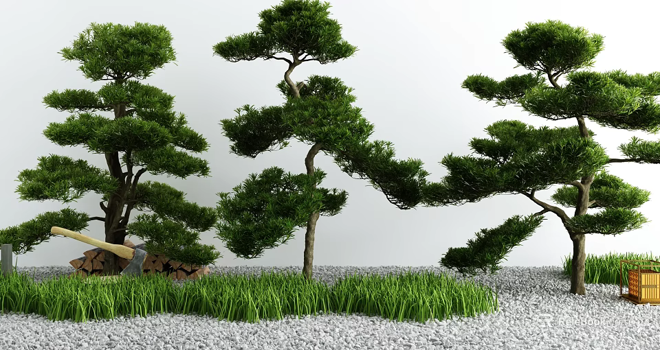 Serene Courtyard Garden With Shaped Pine Trees Green Grass And Gravel Ground 3d model 