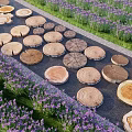 Scenic Garden Path With Wooden Stump Stepping Stones And Purple Flowers