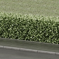 Lawn shrubs 3d model