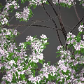 Apple Tree with Pink Blossoms Green Leaves and Brown Trunk in Outdoor Scene