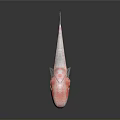 Transparent Marine Creature With Red Body Accents And Slender Tail Structure