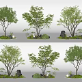 Charming Garden Ornamental Arrangements With Leafy Trees Stones And Small Plants