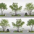 Modern courtyard sketch plant landscape landscape landscape tree shrub plant combination fern plant 3d model