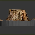 Natural Wooden Stump With Detailed Wood Grain And Stone Like Texture On Ground