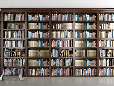 Large Dark Wooden Bookshelf with Many Shelves Filled with Various Colored Books and Small Ladder 3d model