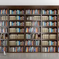 Large Dark Wooden Bookshelf with Many Shelves Filled with Various Colored Books and Small Ladder