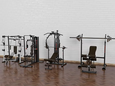Professional Sports Equipment Set With Weight Benches Barbells And Fitness Machines For Home Gym Use 3d model