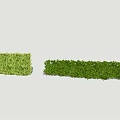 3D Green Hedge Wall Collection Showcasing Various Shrubs Designs And Textures 3d model