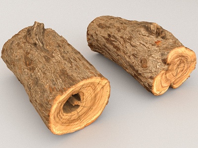 wood trees firewood model