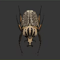 Striped Flying Beetle Showcasing Detailed Exoskeleton Texture Antennae And Legs On Dark Background