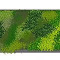 Living Wall Featuring Dense Various Green And Yellow Foliage For Decor 3d model