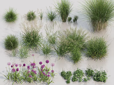 Different Kinds Of Grasses And Purple Flowers For Garden Decoration And Landscaping 3d model
