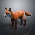 Reddish Orange Fox Standing Alert On Gray Background With White Chest And Black Legs 3d model