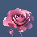 Beautiful Pink Rose With Blooming Petals And Small Bud On Deep Blue Background
