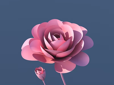Beautiful Pink Rose With Blooming Petals And Small Bud On Deep Blue Background 3d model
