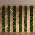 Feature Wall With Vertical Green Plants And Wooden Background With Built-in Lighting