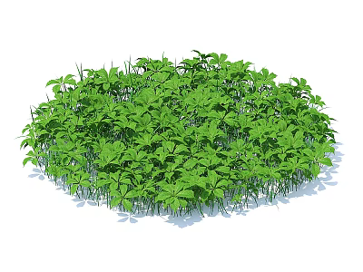 Lush Green Plants in Circular Arrangement with Dense Leaves and Vibrant Foliage 3d model