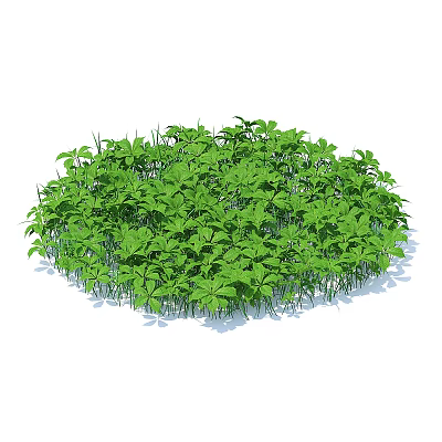 round turf grass haystack weed four-leaf clover floret 3d model