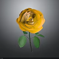 Orange Rose With Layered Petals And Green Leaves On Gradient Background