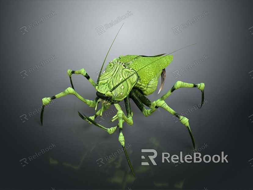 beetle beetle heterosexual shape bug scarab insect animal game animal cartoon animal model